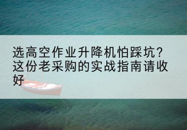 云龙高空作业升降机厂家推荐-选高空作业升降机怕踩坑？这份老采购的实战指南请收好