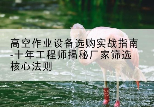 云龙剪叉式升降机厂家-高空作业设备选购实战指南-十年工程师揭秘厂家筛选核心法则